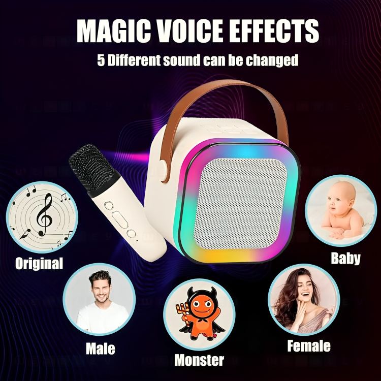 Karaoke With Bluetooth Speaker And Wireless Mic