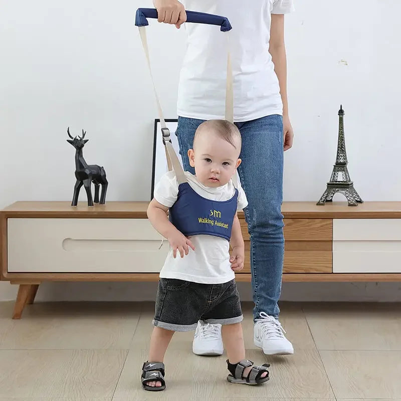 Walking Assistant™