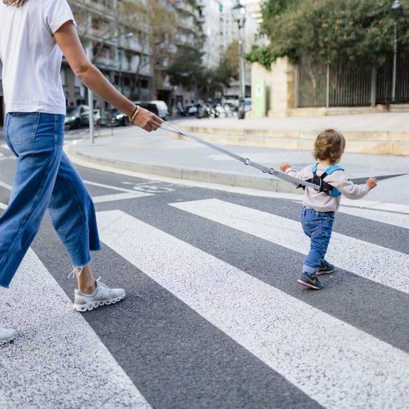 Walking Assistant™