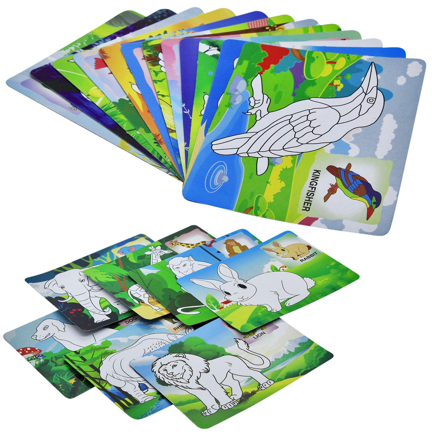 Color & Wipe Kit l Animals And Birds For Age 3+1 24 Reusable Cards